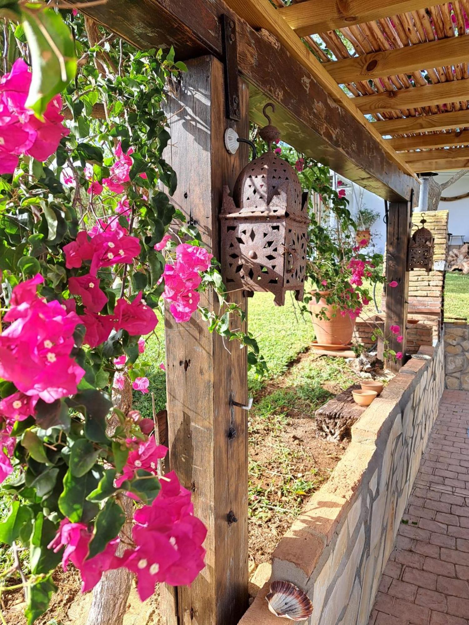 La Luciernaga Guest House Chiclana de la Frontera Ngoại thất bức ảnh