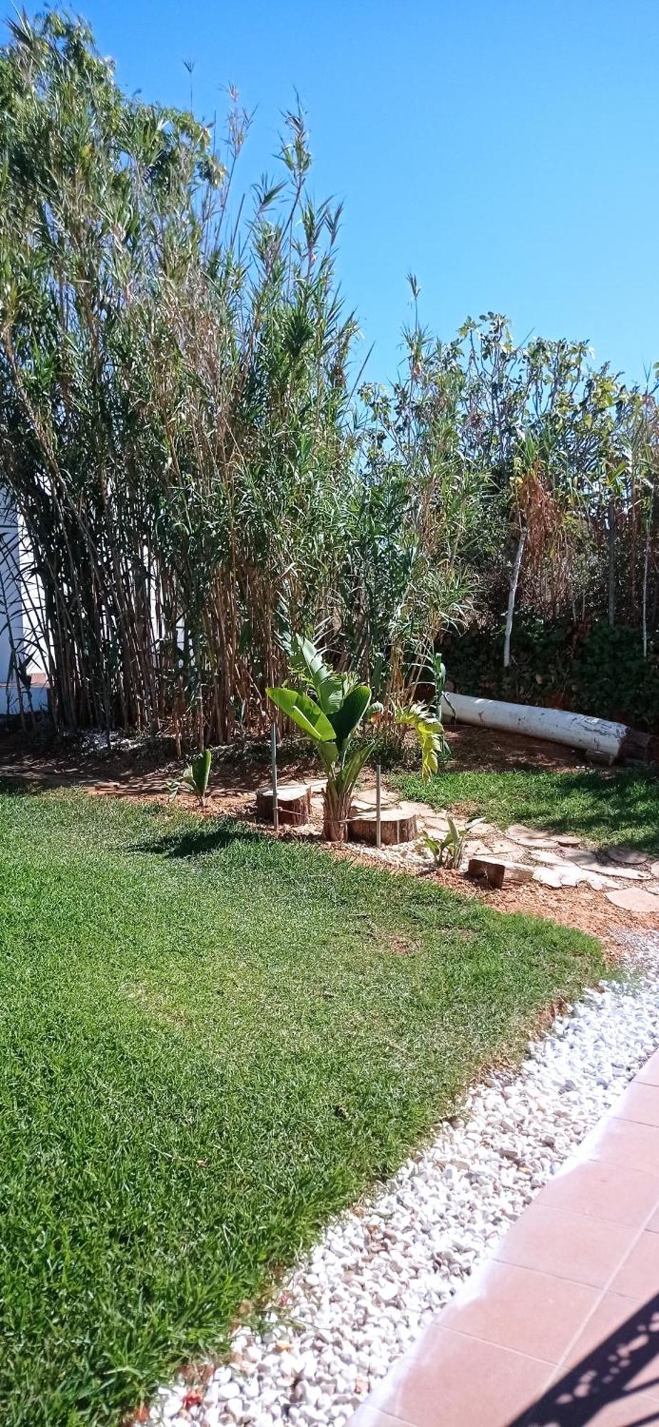 La Luciernaga Guest House Chiclana de la Frontera Ngoại thất bức ảnh